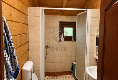 Casă cu 3 camere cu Teren 5000 Mp în Berceni