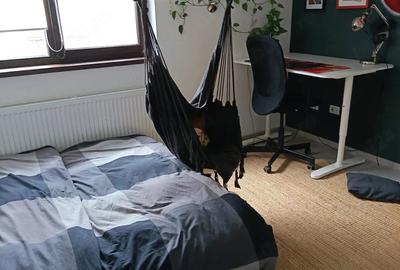 Casă cu 4 camere cu Teren 300 Mp în Calea Urseni