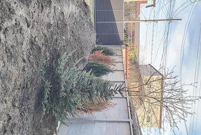 Casă cu Teren 300 Mp în Rahova - 5