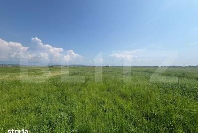 Teren de 10000 mp, în Drăgotești - 1