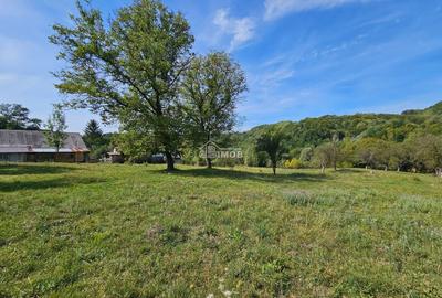 Teren agricol intravilan de 10215 mp, în Vulcana de Sus - 2