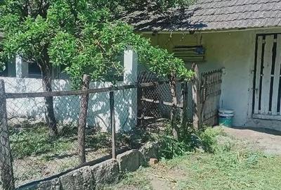 Casă cu 5 camere cu Teren 1600 Mp în Afumați - 2