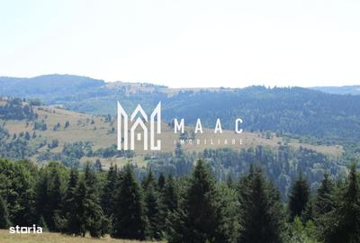 Spațiu comercial, în Cărpiniș
