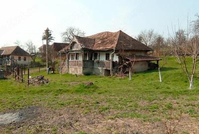 Casă cu 3 camere cu Teren 1400 Mp în Căcuciu - 1