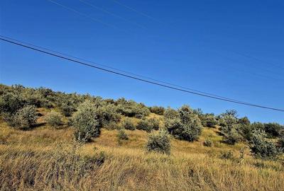 Teren agricol extravilan de 27660 mp, în Lețcani - 1