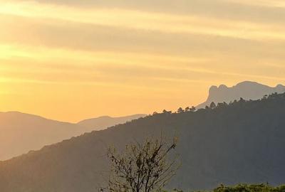 Casă cu 3 camere în Turturești