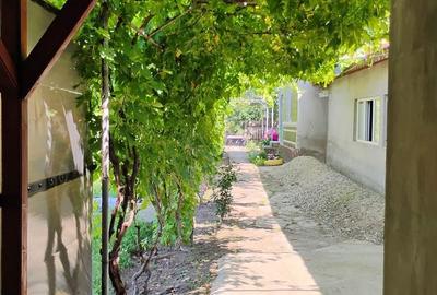 Casă cu 5 camere cu Teren 1238 Mp în Florica - 17