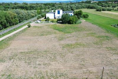 Teren Construcții intravilan de 5000 mp, în Lunca Oltului - 1