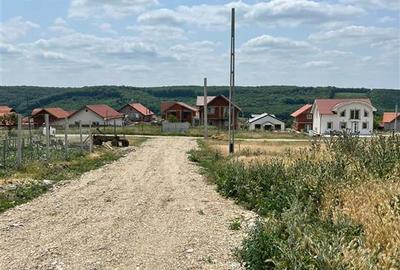 Teren intravilan de 503 mp, în Betfia