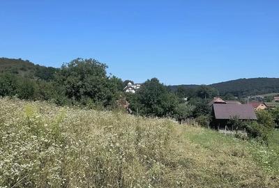 Teren de 2050 mp, în Poienița - 5