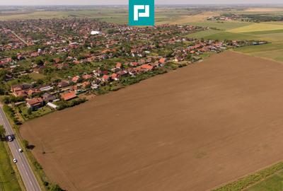 Teren agricol extravilan de 28500 mp, în Șofronea - 6