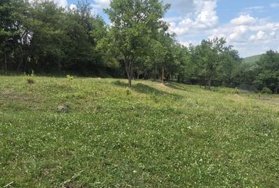 Teren Construcții intravilan de 3000 mp, în Figa - 1