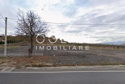 Spațiu comercial, în Șura Mare