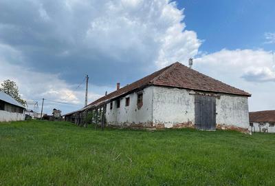 Teren de 1653 mp, în Fibiș