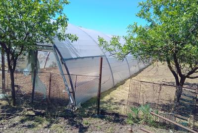 Casă cu 5 camere cu Teren 250 Mp în Central