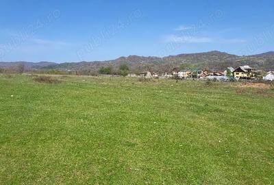 Teren de 7500 mp, în Voila - 3