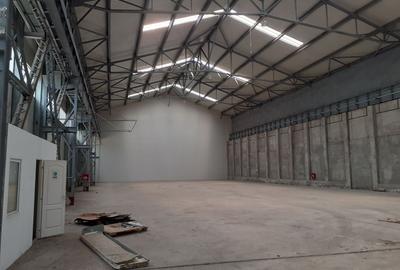 Spațiu industrial, de 1,850 mp, în Basarabia - 2