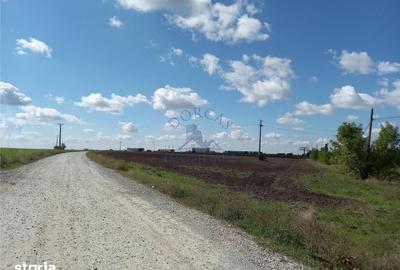Teren de 20000 mp, în Pielești - 5