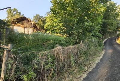 Teren de 600 mp, în Păușești