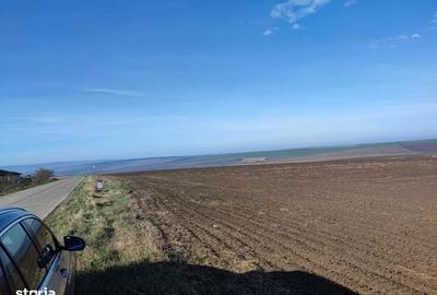 Teren de 7850 mp, în Horlești - 7