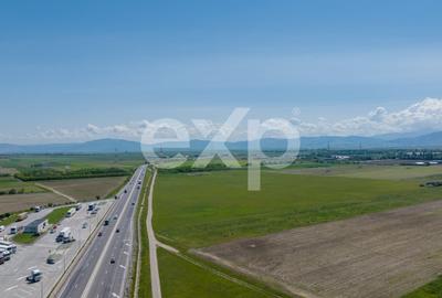 Teren Construcții extravilan de 24348 mp, în Triaj - 3