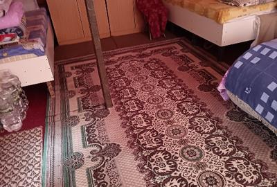 Casă individuală cu 2 camere în Alunișu (Băiculești) - 15