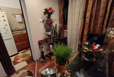 Garsonieră nedecomandată în Dristor - 2