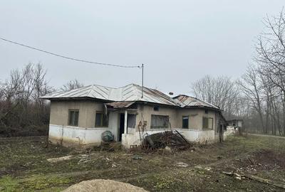 Casă cu 2 camere în Cornești - 1