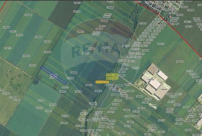 Teren agricol extravilan de 9650 mp, în Cristian - 9
