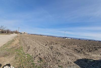 Teren de 710 mp, în Calea Bârladului - 2