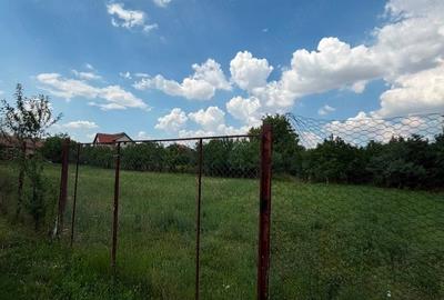 Teren de 2595 mp, în Pișchia - 2