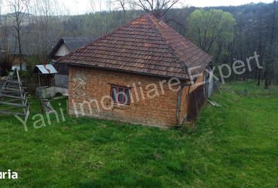 Casă cu 2 camere cu Teren 5800 Mp în Valea Danului - 6