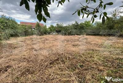 Casă cu 2 camere cu Teren 1256 Mp în Unirea