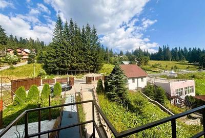 Casă individuală cu 10 camere cu Piscina în Malul Ursului - 45