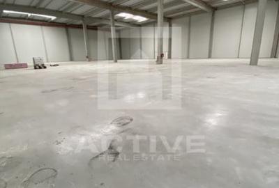 Spațiu industrial, de 800 mp, în Someșeni - 3