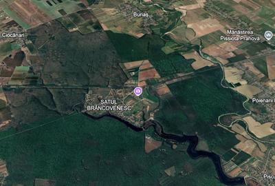 Teren de 17714 mp, în Periș - 3