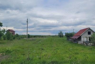 Teren de 3600 mp, în Brășăuți - 8