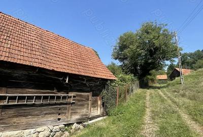 Casă cu 3 camere în Baldovin - 1