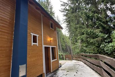 Spațiu comercial, de 160 mp, în Rucăr - 6