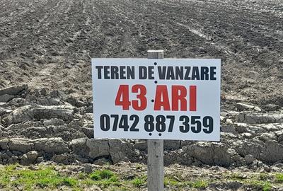 Teren de 4300 mp, în Arcalia - 2