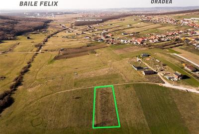 Teren intravilan de 1901 mp, în Betfia - 4