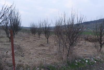 Teren agricol intravilan de 1000 mp, în Iris - 1