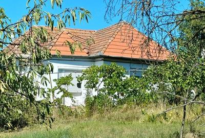 Casă cu 2 camere cu Teren 1500 Mp în Sânpetru de Câmpie