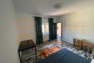 Casă individuală cu 2 camere cu Teren 90 Mp în Coiciu - 2