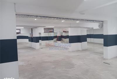 Spațiu comercial, de 403 mp, în Lunca Cetățuii - 2