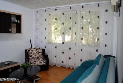 Apartament cu 2 camere decomandat, mobilat în Negru Vodă - 3