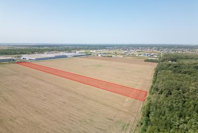 Teren Construcții intravilan de 21500 mp, în Brănești - 9