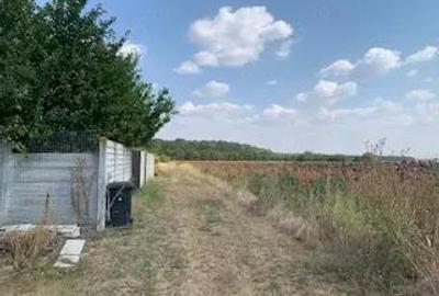 Teren în Vlădiceasca - 2