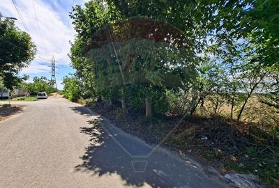 Teren agricol extravilan de 5316 mp, în Aradul Nou - 12
