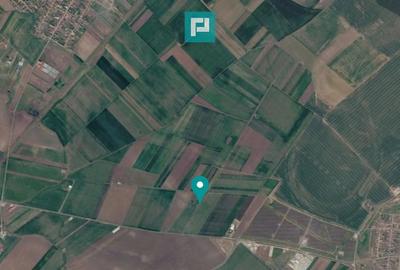 Teren de 7915 mp, în Horia